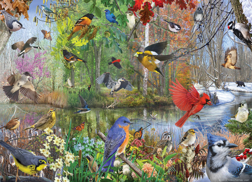 Cheatwell Games Birds Of The Season Jigsaw Puzzle 1000 Pieces, Multi