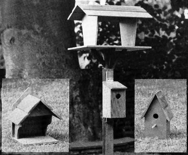 Bird Tables and Boxes Plan