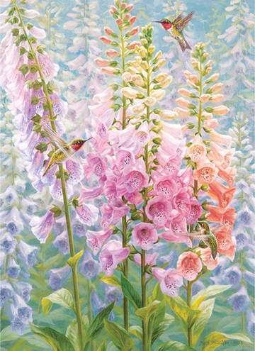 Cobble Hill Summer Rainbow 500 Piece Jigsaw