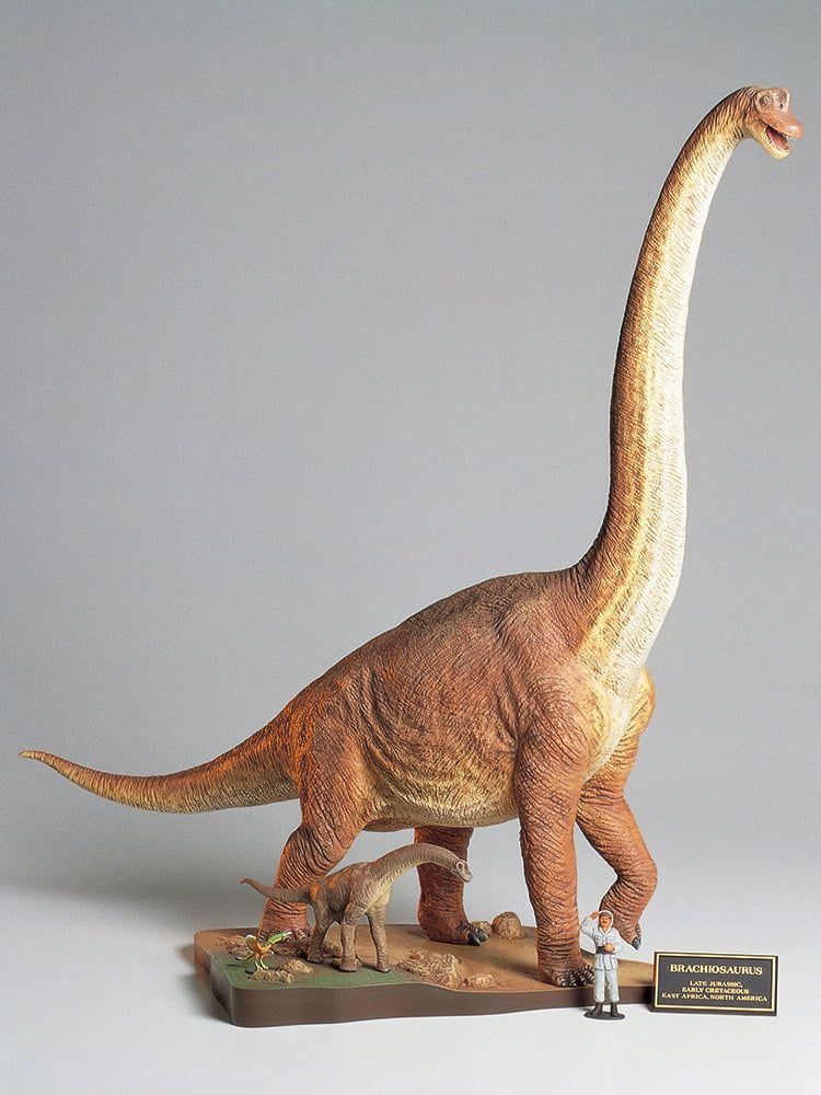 Tamiya 1/35 Scale Brachiosaurus Model Kit