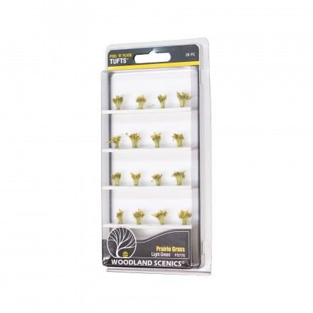 Light Green Prairie Grass