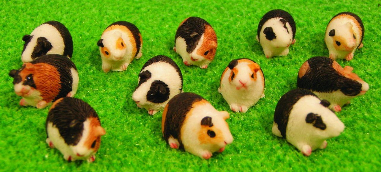 12 Assorted Guinea Pigs for 12th Scale Dolls House