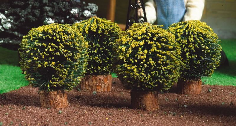 Round Box Bushes x 4 for 12th Scale Dolls House