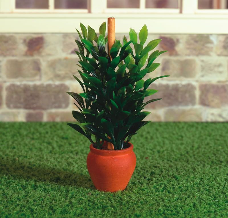 Plant in Terracotta Pot for 12th Scale Dolls House
