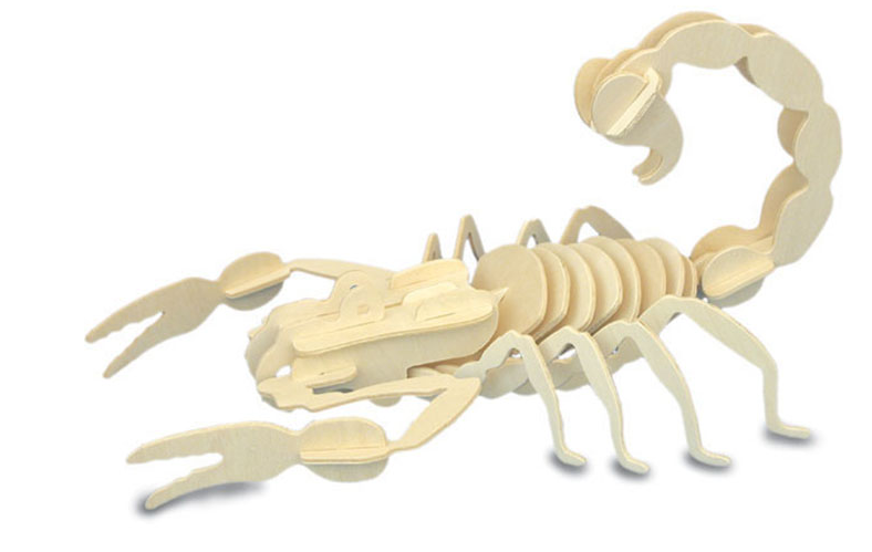 Quay Scorpion Wooden Model Kit