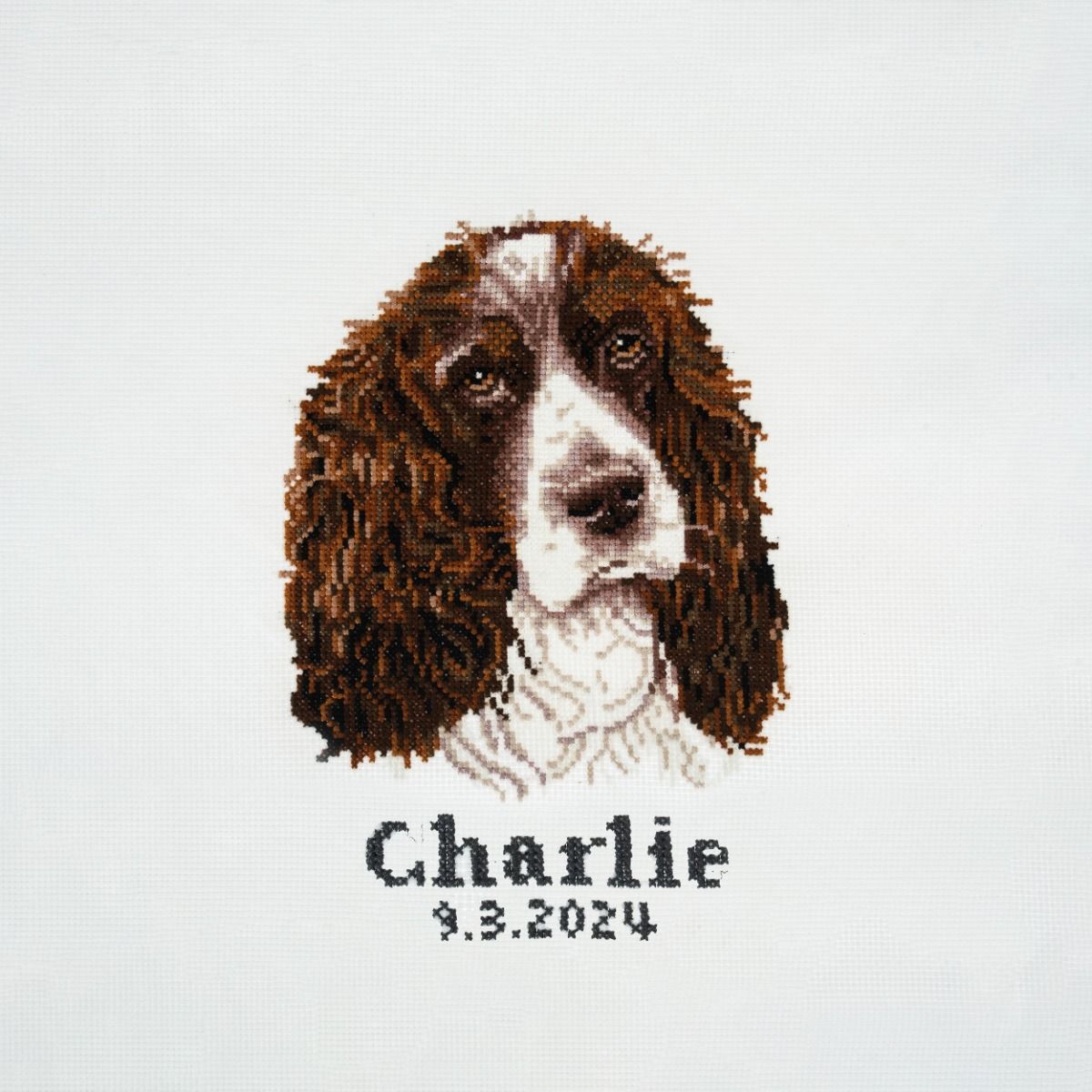 Trimits Cross Stitch Springer Spaniel Kit