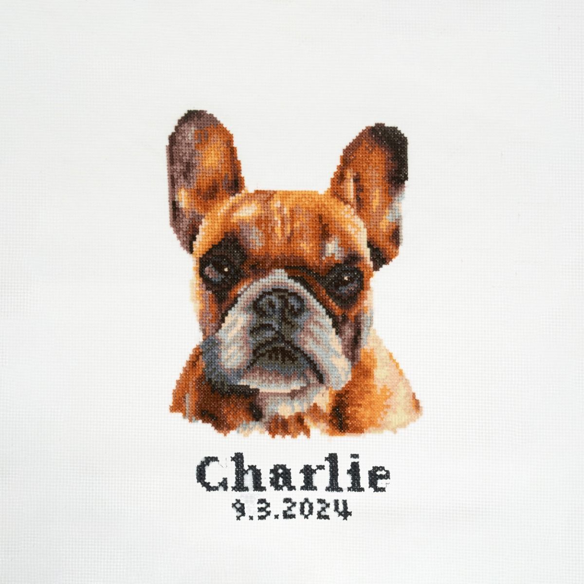 Trimits Cross Stitch French Bulldog Kit