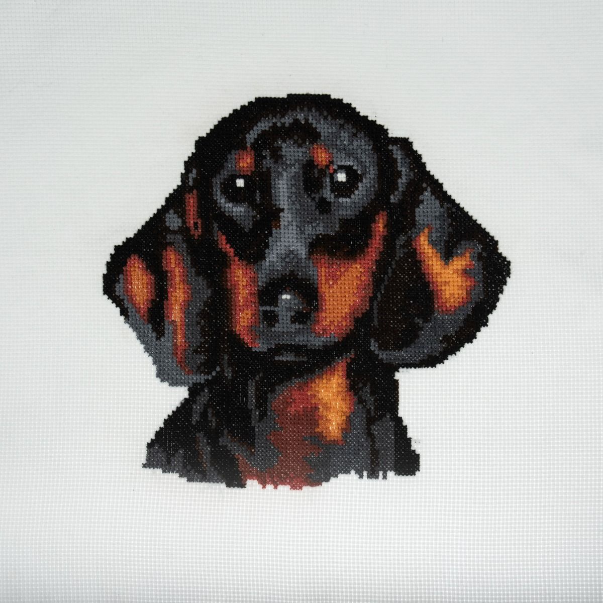 Trimits Dachshund Large Counted Cross Stitch Kit