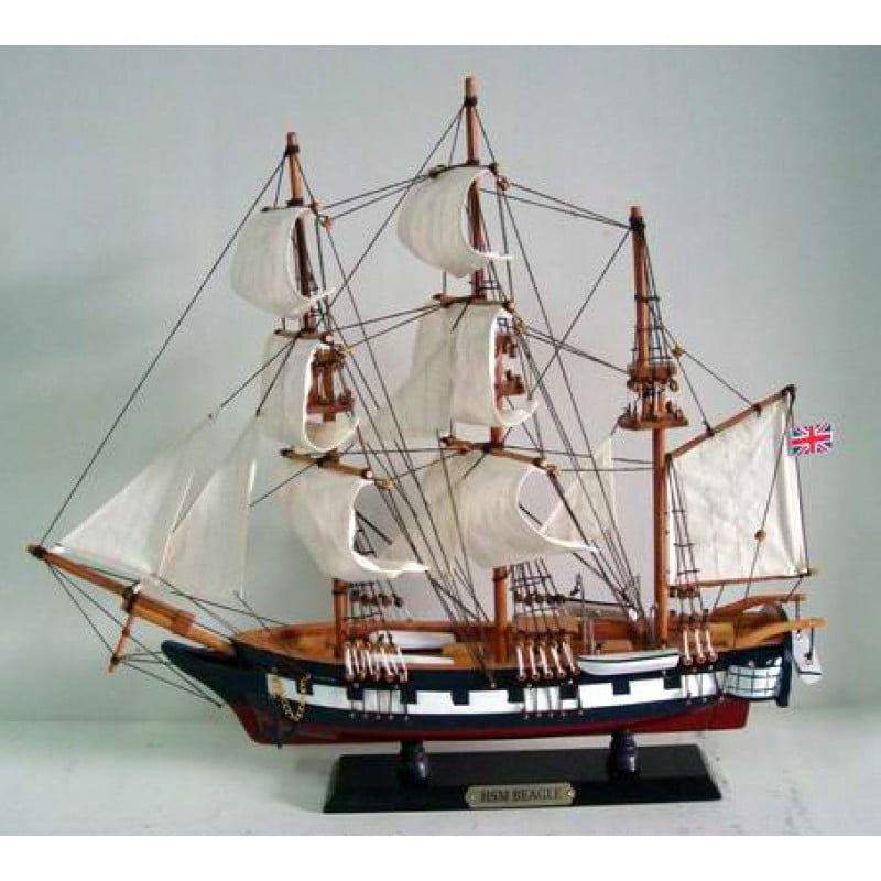 Hms Beagle Starter Wooden Model Ship, Wooden Model Ship Kits For Beginners