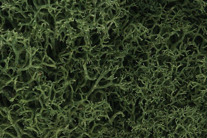 Woodland Scenics Medium Green Lichen