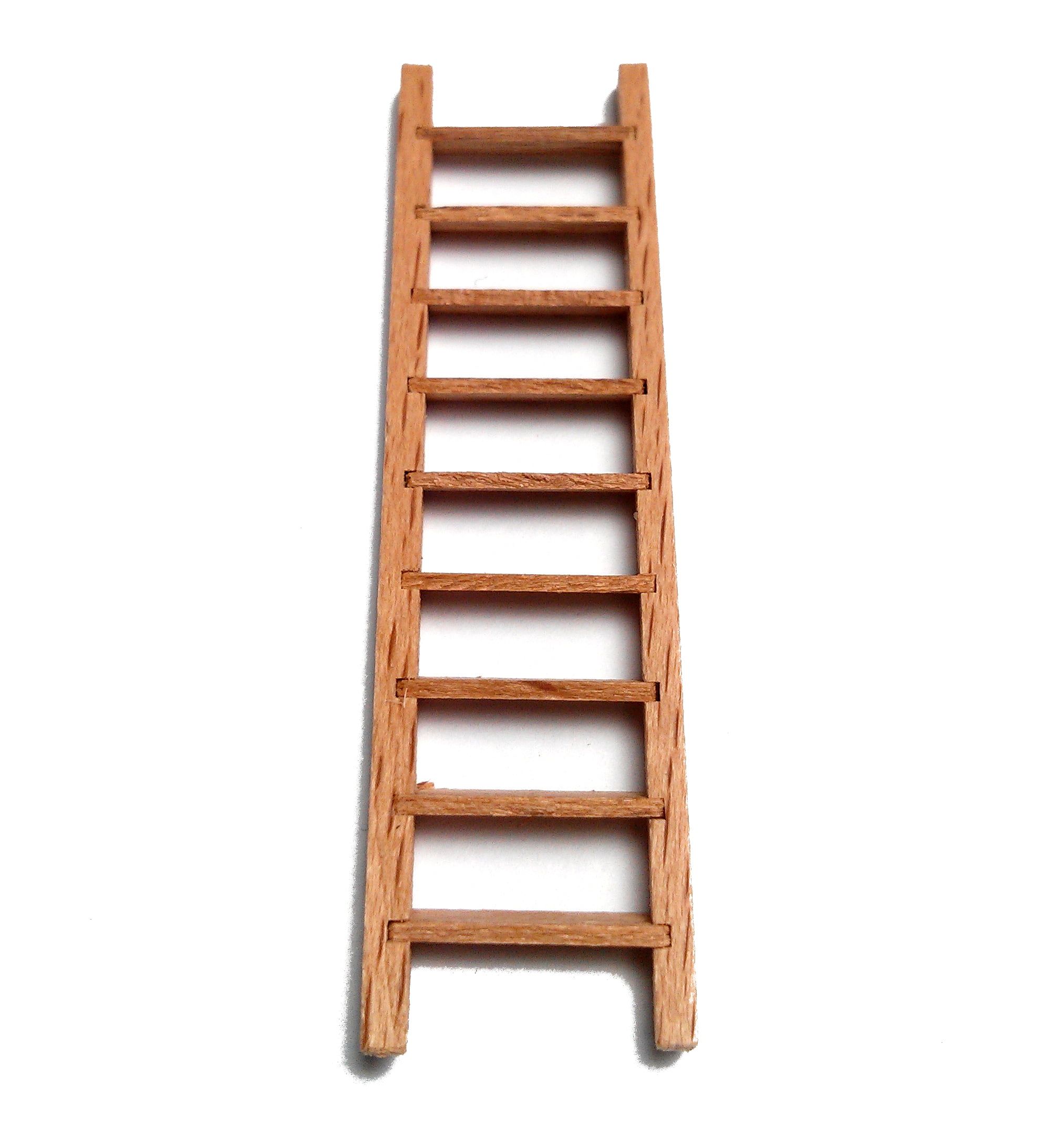 Beech Ladders Hobbies
