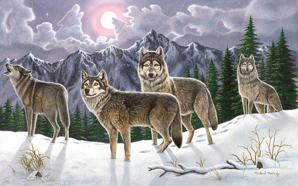 Painting By Numbers Wolves