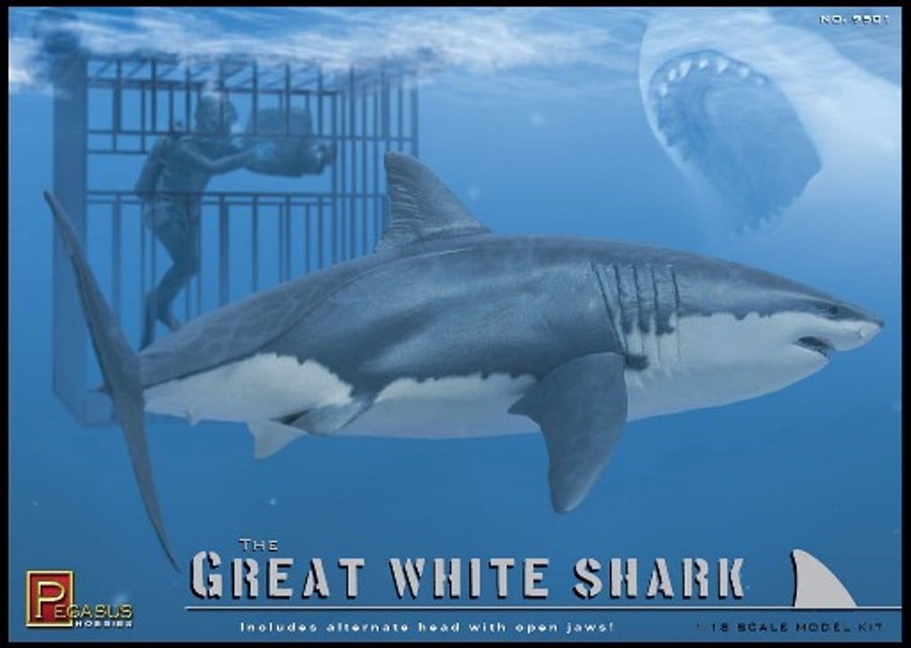 Shark model store