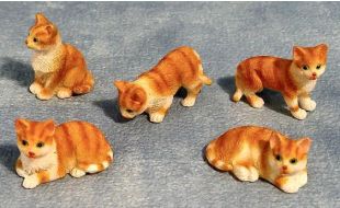 Ginger and White Cats 5 Assorted for 12th Scale Dolls House
