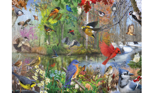 Cobble Hill birds Of The Season 1000 Piece Jigsaw