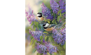 Cobble Hill Chickadees and Lilacs 1000 Piece Jigsaw