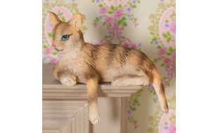Cleo the Tabby Cat for 12th Scale Dolls House
