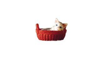 Miniature Kitten in Basket for 12th Scale Dolls House
