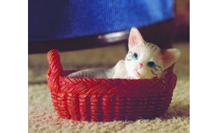 Miniature Kitten in Basket for 12th Scale Dolls House