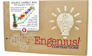 Cheatwell Engenius: Bounce Marble Run Wooden Model Kit