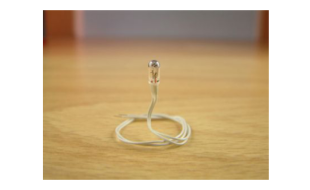 Expo Clear 6 volt Grain of Wheat bulb, pack of 10