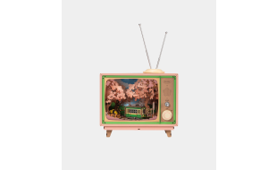 Rolife Sakura Dreamy Tour Music Box Wooden Model Kit