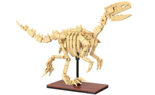CaDa Velociraptor Dinosaur Fossil Brick Model Kit