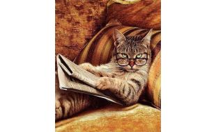 Figured'Art Don't Mess With This Cat Printed Cross Stitch Kit