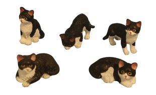 Black and White Cats 5 Assorted for 12th Scale Dolls House