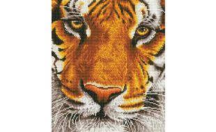 Diamond Dotz Bengal Magic Diamond Painting Kit