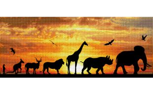 Diamond Dotz African Sky Diamond Painting Kit