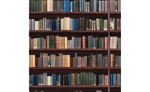 Traditional Library Shelves for 12th Scale Dolls House