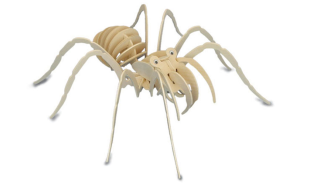 Quay Tarantula Wooden Model Kit
