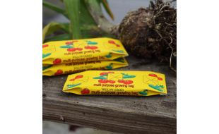 Growbag for 12th Scale Dolls House