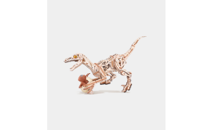 ROKR Velociraptor Wooden Model Kit
