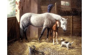 Painting By Numbers New Friends