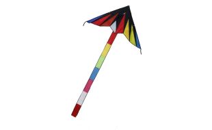 Rainbow Fan Tailed Delta D1255