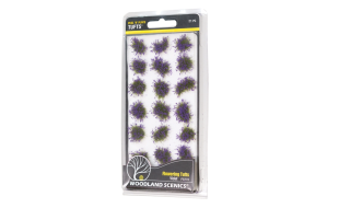 Violet Flowering Tufts