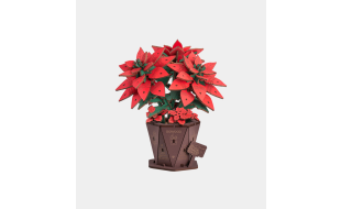 Rowood Poinsettia Wooden Model Kit
