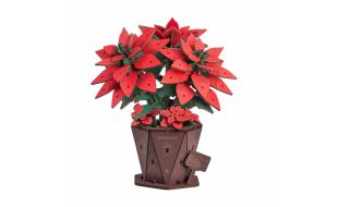 Rowood Poinsettia Wooden Model Kit