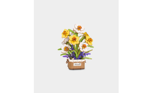 Rowood Narcissus Wooden Model Kit