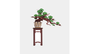 Rolife Evergreen Pine Bonsai Wooden Model Kit