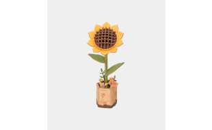 Rowood Sunflower Wooden Model Kit