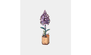 Rowood Lilac Wooden Model Kit
