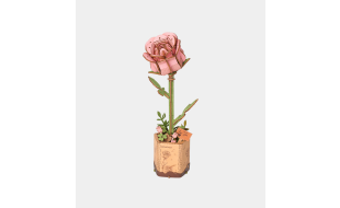 Rowood Pink Rose Wooden Model Kit
