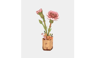 Rowood Pink Carnation Wooden Model Kit