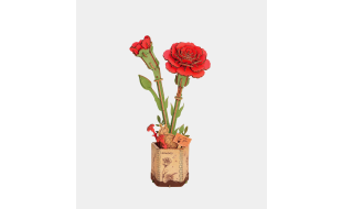 Rowood Red Carnation Wooden Model Kit