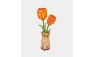 Rowood Orange Tulip Wooden Model Kit