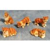 Ginger and White Cats 5 Assorted for 12th Scale Dolls House