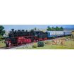 Revell 1/87 Scale Orient Express Model Kit